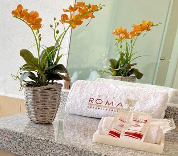 Hotel Roma Cosamaloapan de Carpio Exteriör bild